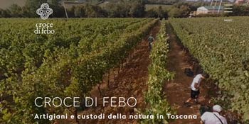 Croce di Febo Website