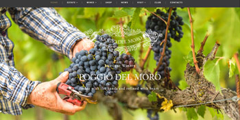 Poggio del Moro Website